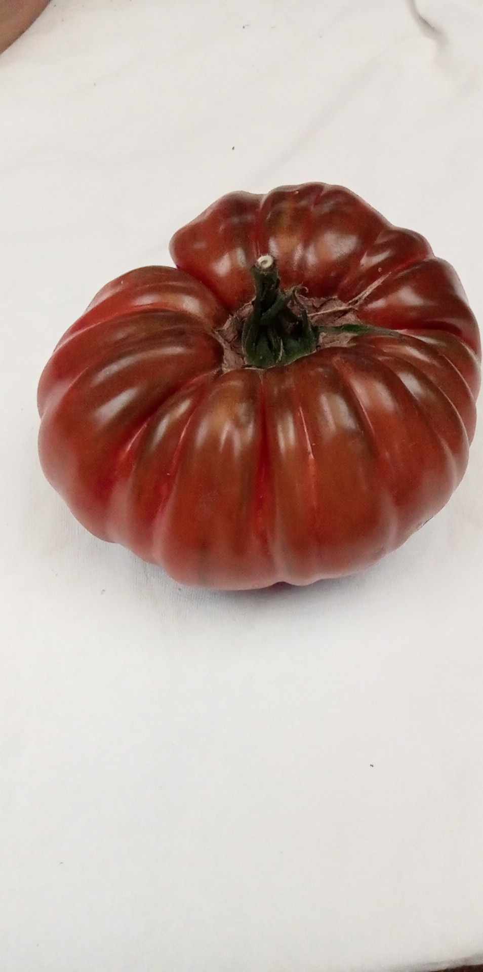 Tomate La Berguoise