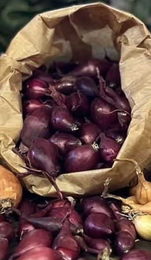 Bulbilles Oignons Red Baron