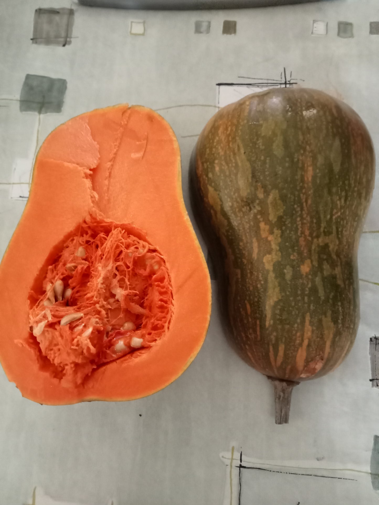 (Cucurbita moschata) Vieille variété du centre de la France, coureuse. Elle semble plus précoce et plus adaptée aux climats plus humides et plus frais. Elle donne des fruits piriformes. La peau est lisse, de couleur vert foncé s'éclaircissant pour passer du jaune paille à l'ocre à maturité. La chair orange clair, tendre, sucrée, parfumée de bonne qualité. S'utilise en purée, gratin, potage, tarte, flan, confiture.. Semis Avril-Mai