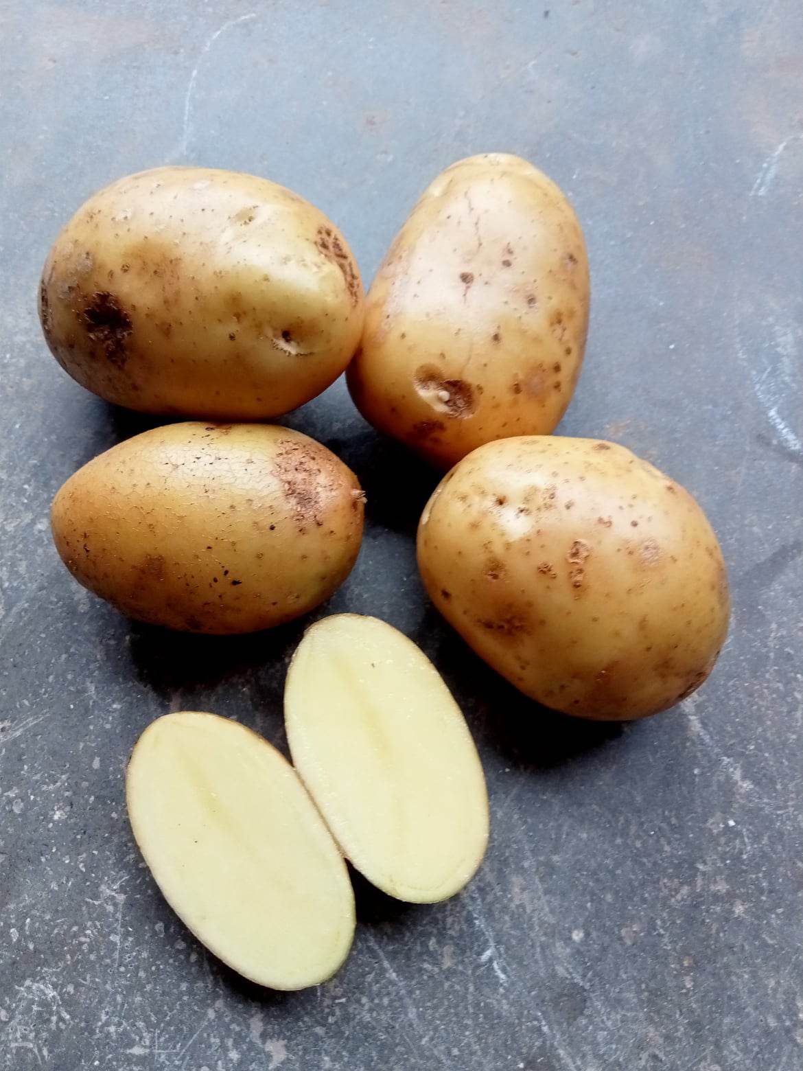 Pomme de terre Bernadette