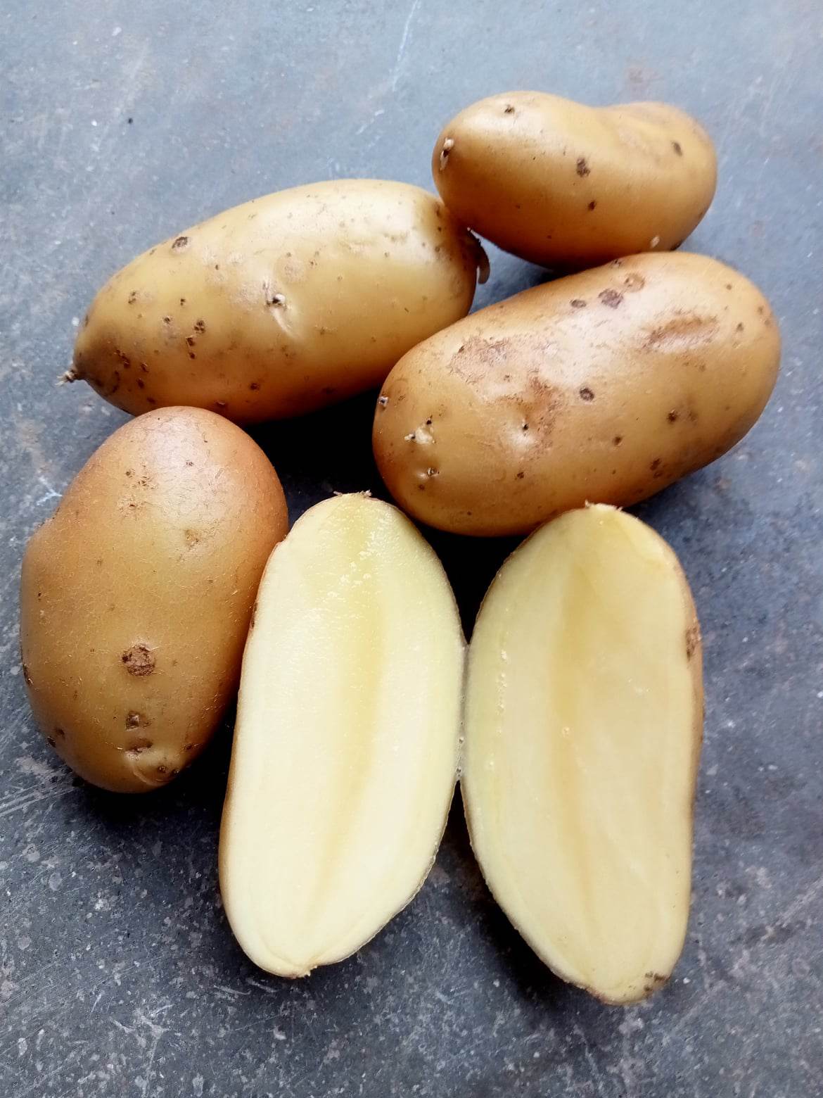 Pomme de terre Gourmandine