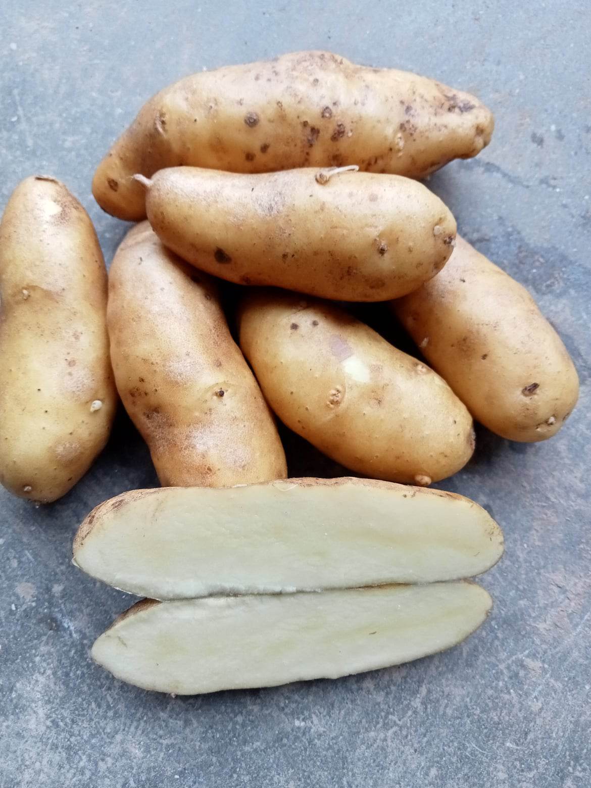 Pomme de terre Ratte