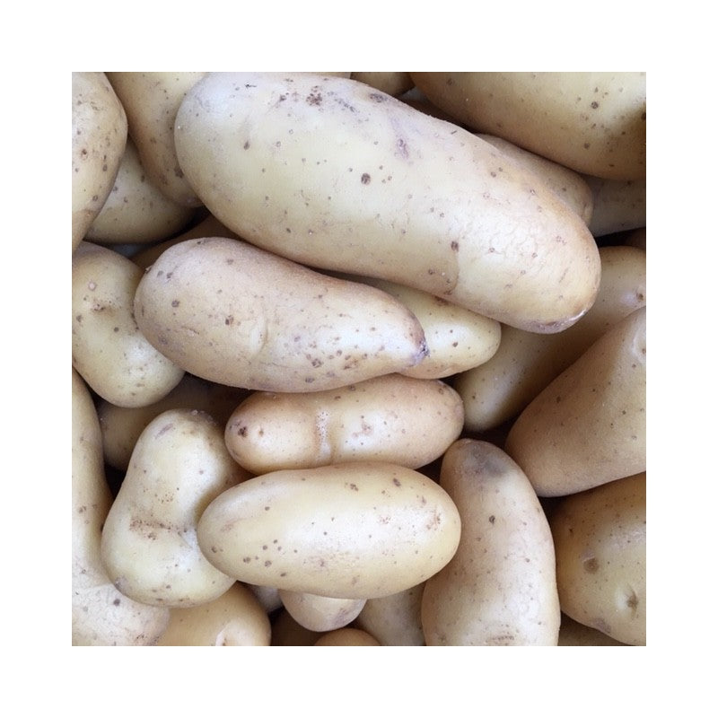 Pomme de terre Amandine
