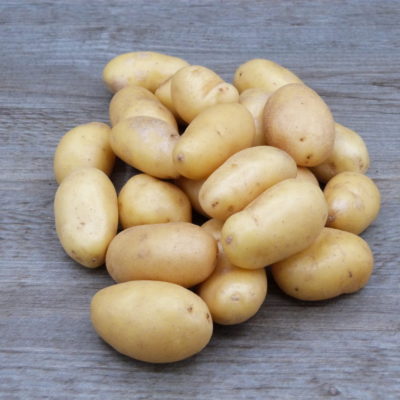 Pomme de terre Charlotte