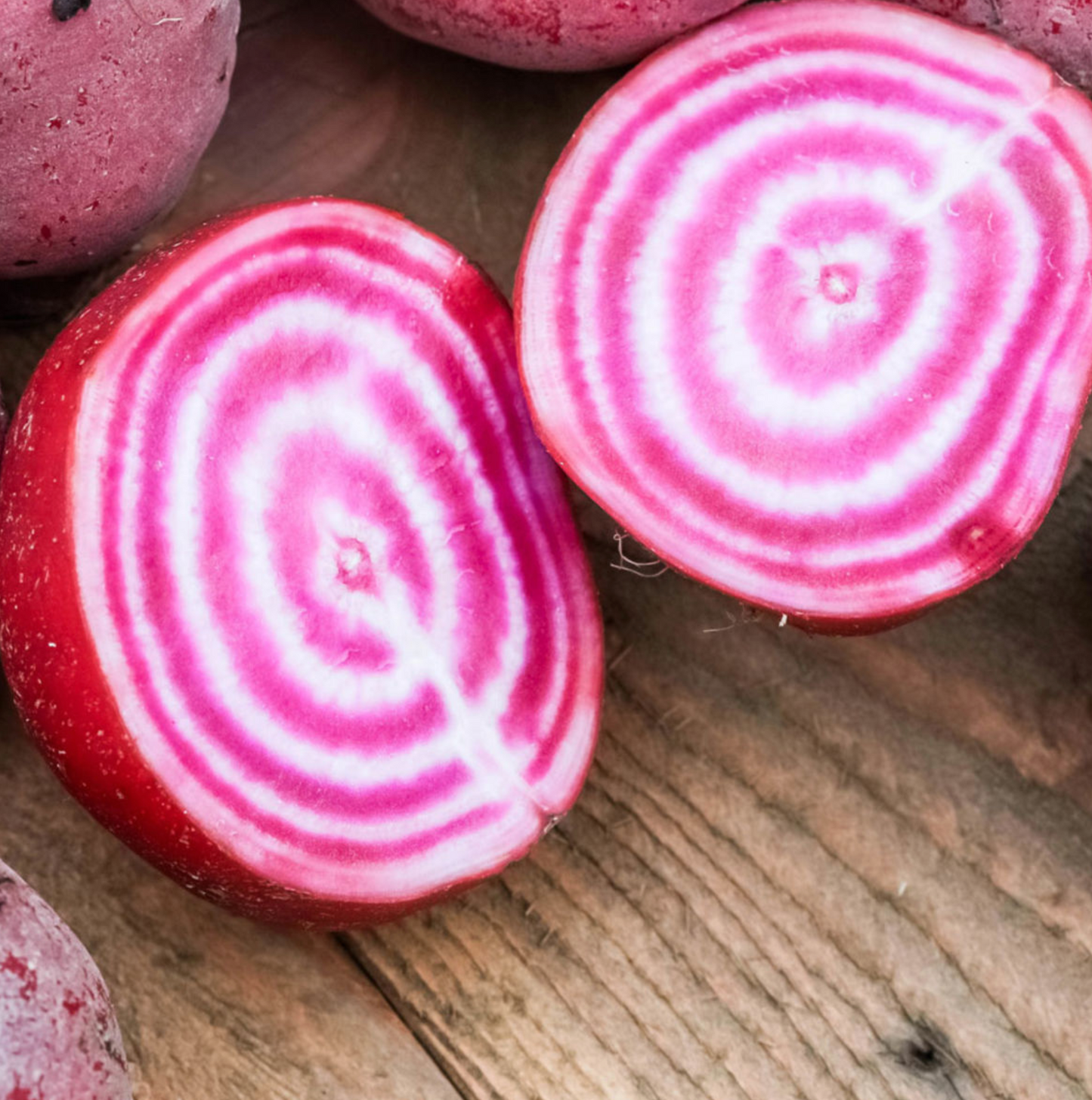 (Beta vulgaris) Variété précoce, ancienne et italienne. Sa racine est ronde, à la chair sucrée, rose veinée de blanc. Elle rend la betterave Chioggia très décorative en cuisine lorsqu'elle est consommée crue. On la consomme crue, râpée en vinaigrette ou cuite dans les salades. Semis Avril à Juin