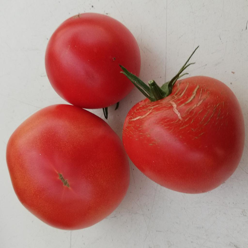 Tomate Charnue de huy