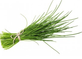 (Allium schoeneprasum) Les feuilles tubulaires sont très allongées et creuses. Saveur au goût d'oignon, mais plus doux. Aromatise délicieusement les potages, salades, omelettes... Les fleurs rose à violet pâle se consomment également en salade, aromatisent les vinaigres. Association favorable avec les fruitiers. Semis mars à juin