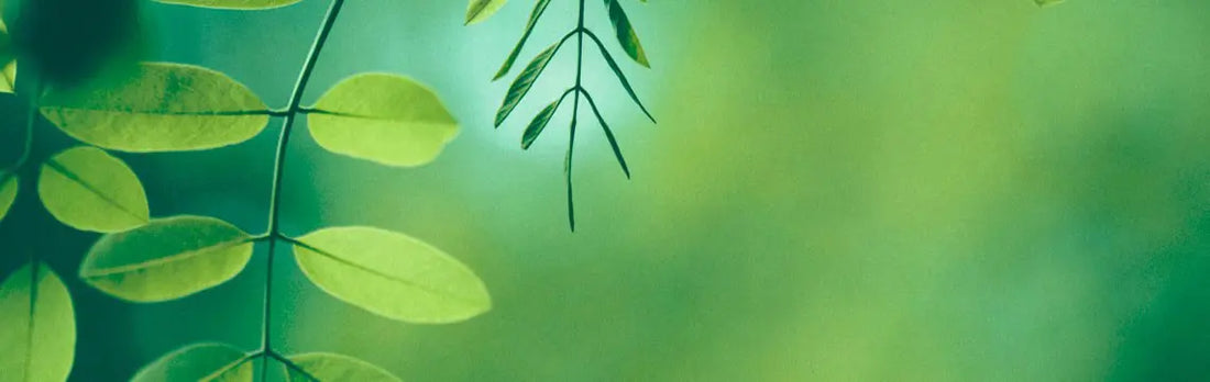 Bienvenue sur notre nouvel espace blog