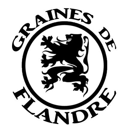 GRAINES DE FLANDRE
