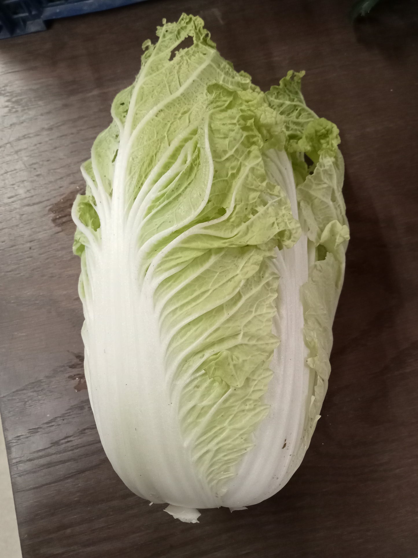 Chou Chinois Pe Tsai Atsuko