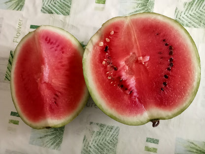 Pastèque Crimson Sweet