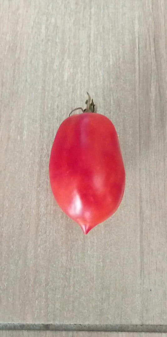 Tomate Peasant