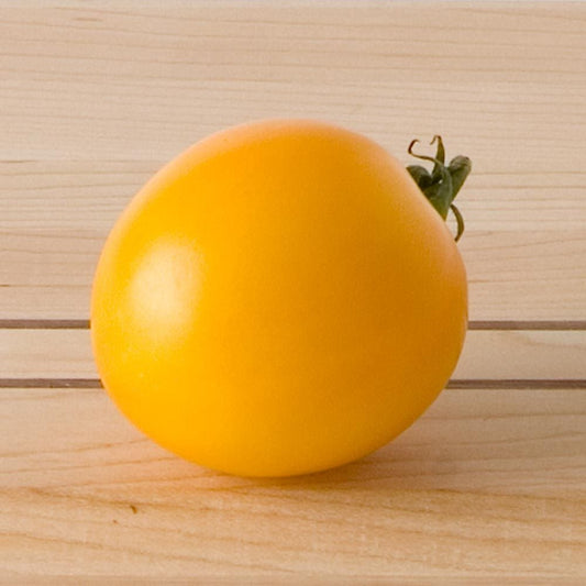 Tomate Lemon Boy