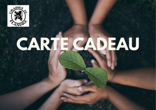Carte cadeau GRAINES DE FLANDRE