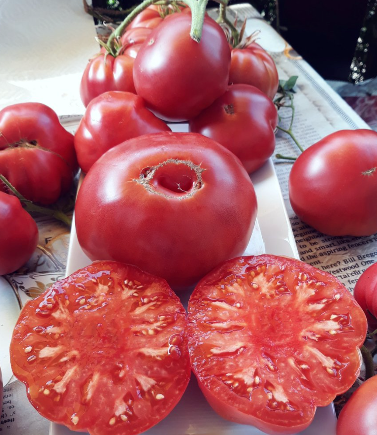 Tomate Crnkovic yugoslavian