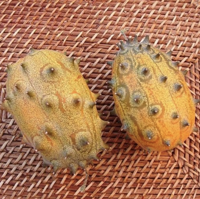 (Cucumis metuliferus)  Petit fruit original, garni de piquants, de couleur vert strié de blanc, devenant orangé à maturité. Fruit juteux, rafraîchissant, à consommer cru. Saveur délicieuse entre la banane et le citron. Maturité assez tardive. Contient 4 fois plus de vitamine C qu'une orange.  Semis mai-juin