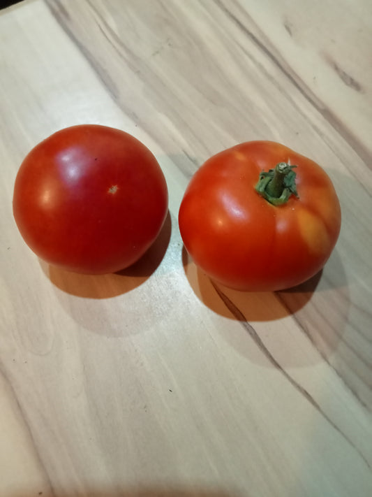 Tomate Marglobe