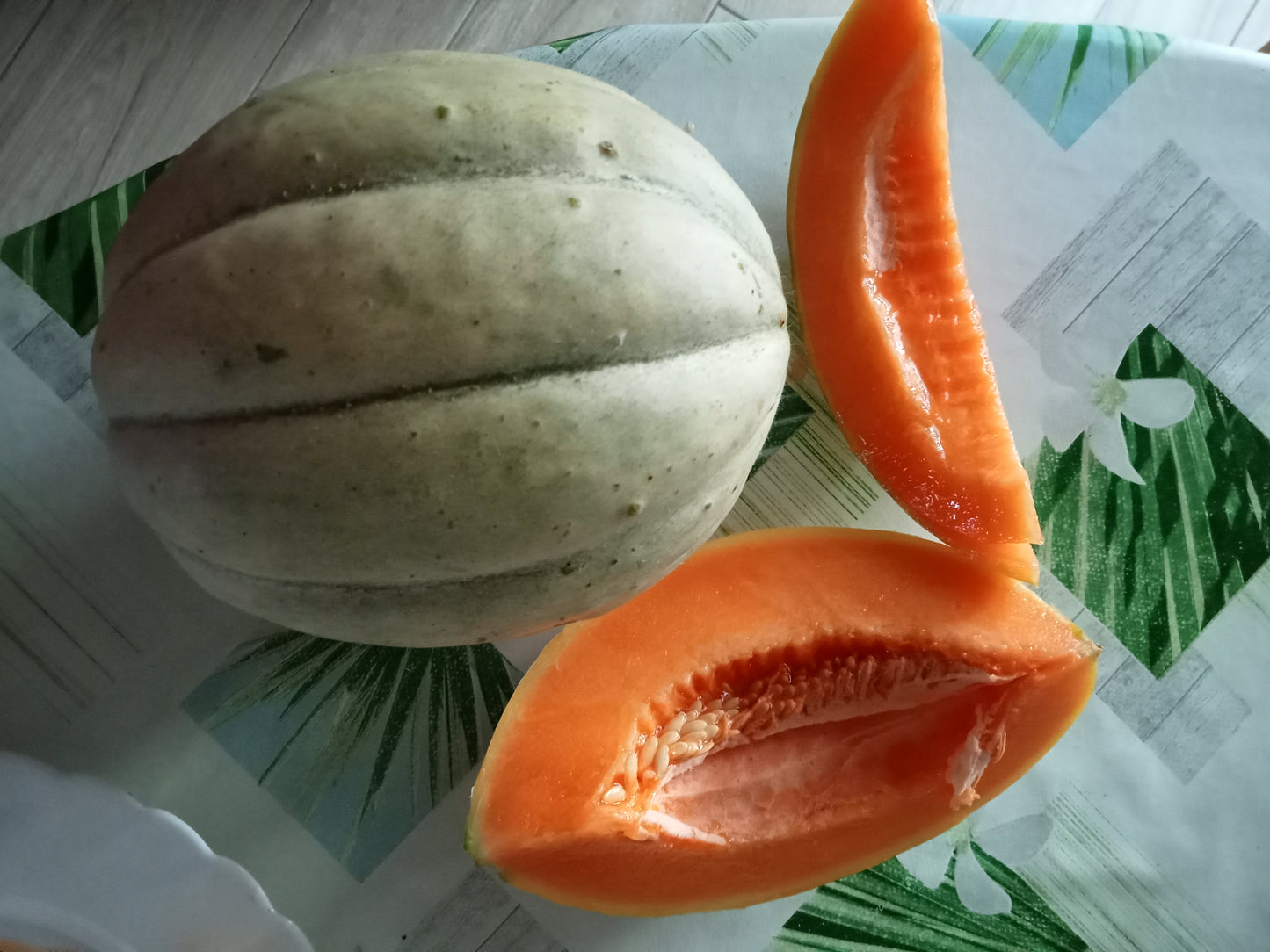 (Cucumis melo)  Variété ancienne au cycle végétatif court. Il produit de beaux fruits juteux et très parfumés. Il peut être consommé à n'importe quel moment du repas et être servi seul ou accompagné d'autres produits.  Semis Avril - Mai