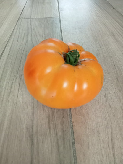 (Solanum lycopersicum)  Origine Française (Rhône-69), très belle alternative à la tomate ananas ! Variété donnant de gros fruits côtelés, légèrement aplatis, orangés, voilés de rose aussi bien sur l’épiderme que dans la chair. Chair charnue et juteuse, sans acidité, sucrée. Excellente saveur. Moins tardive que la tomate Ananas, c’est une bonne alternative pour les régions à saison courte. Croissance indéterminée. Mi-saison.  Couleur : Orange Calibre : Gros