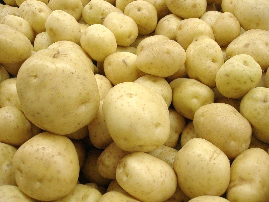 Pomme de terre Sirtema