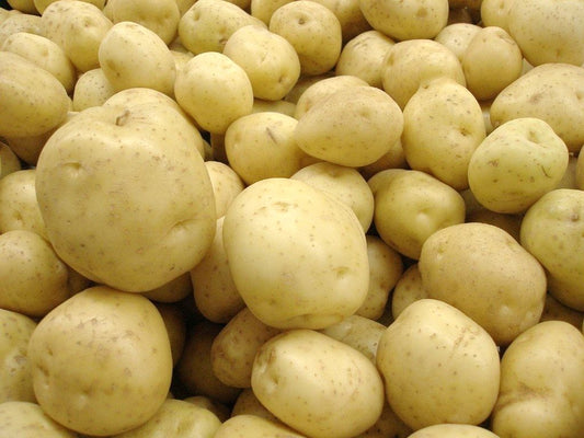 Pomme de terre Sirtema