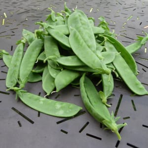 Pois à Rames Mangetout Sweet Horizon