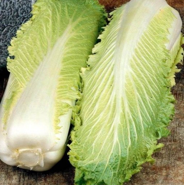 (Brassica pekinensis)  Variété classique, élancée, au feuillage extérieur vert foncé et aux larges côtes blanches. Excellent légume à déguster cru en salade, de saveur fine ou cuit haché.  Semis Juillet - Août