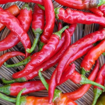 Piment de Cayenne