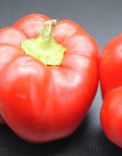 (Capsicum Annuum)  Cette variété adaptée aux conditions de culture difficiles présente une très bonne vigueur. Elle produit des fruits côtelés, formés de 3 à 4 lobes qui mûrissent de vert à rouge.  Semis février à mi-mar